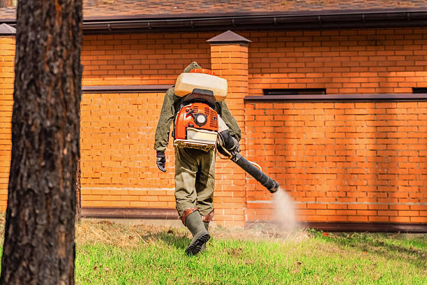 Trusted Bed Bug Control service in Eminence, KY - Nex Pest Control